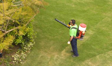 the link between glyphosate and cancer is just becoming known to gardeners