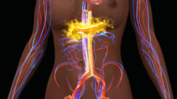 research has found a link between Viberzi and pancreatitis
