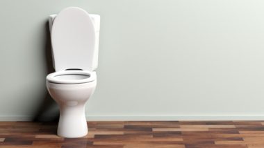 durapro toilet