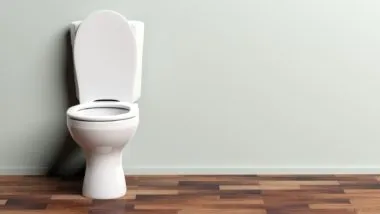 durapro toilet
