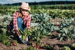 Monsanto Company Faces New Roundup Lymphoma Lawsuit