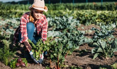 Monsanto Company Faces New Roundup Lymphoma Lawsuit