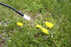 Man Alleges Chronic Lymphocytic Leukemia Caused by Roundup Exposure