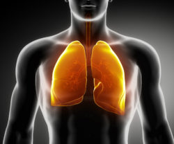 malignant mesothelioma is a risk from asbestos exposure