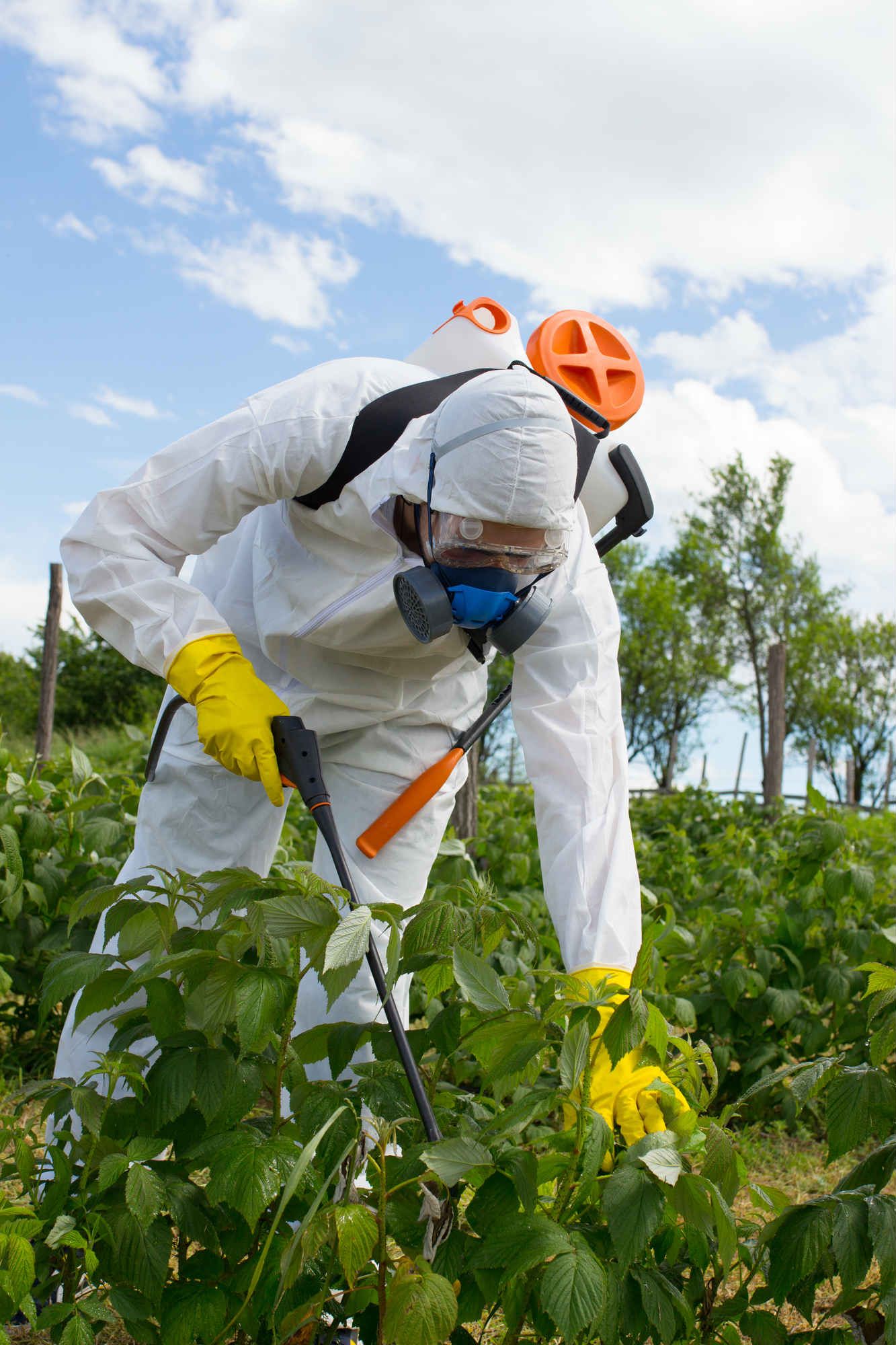 Roundup Weed Killer Cancer Lawsuit Claims Pesticide Isn’t Harmless