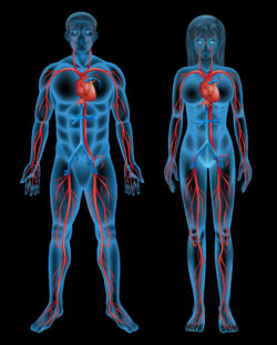 blood clot filter lawsuits are filed by IVC filter patients