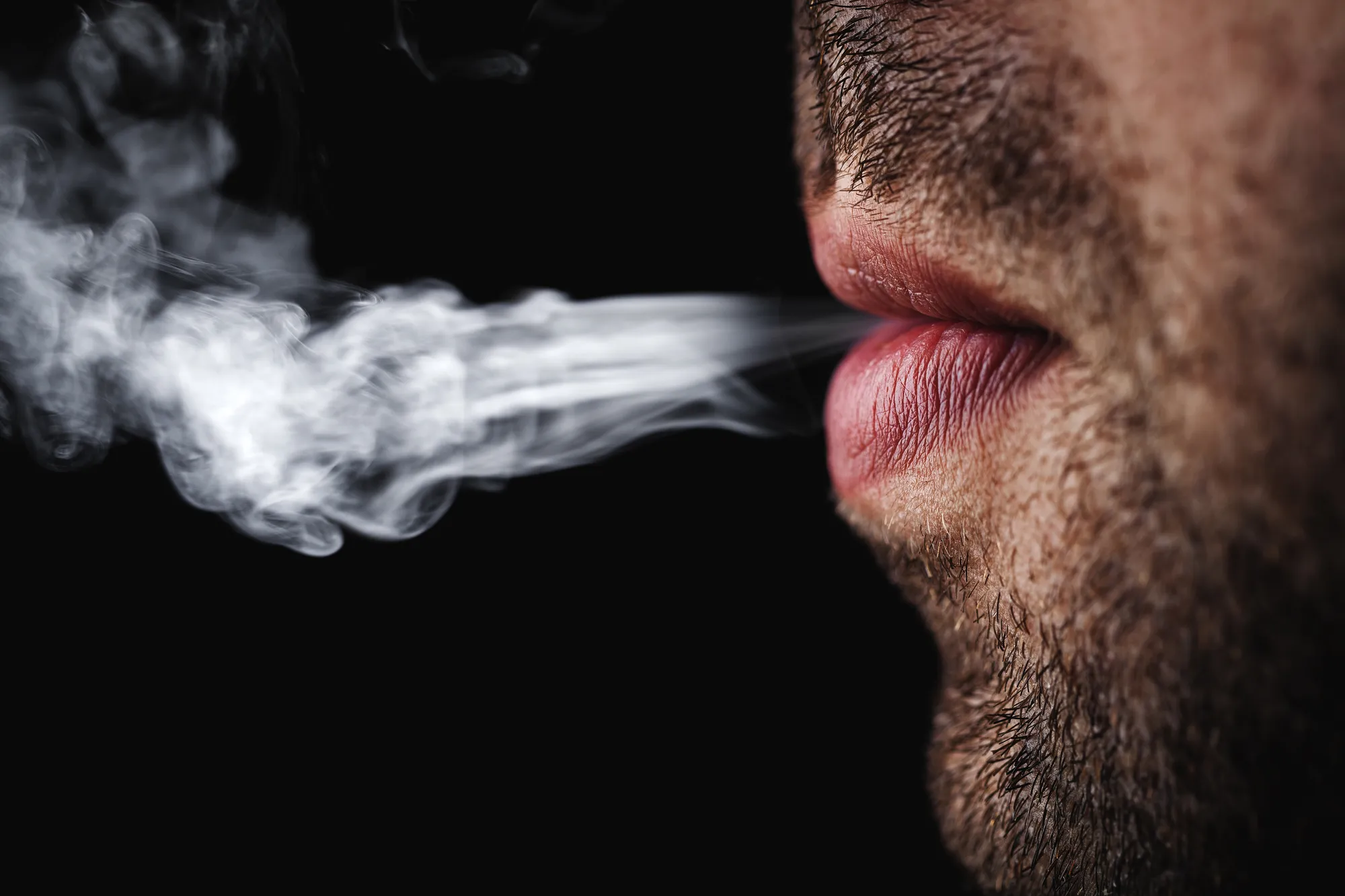 cigarette deaths worldwide How Many People Die From Smoking? Tobacco Chart (2026)