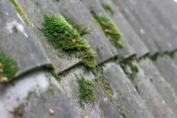 Plaintiff In Mesothelioma Claim Argues That Second Hand Exposure Caused Mother's Death