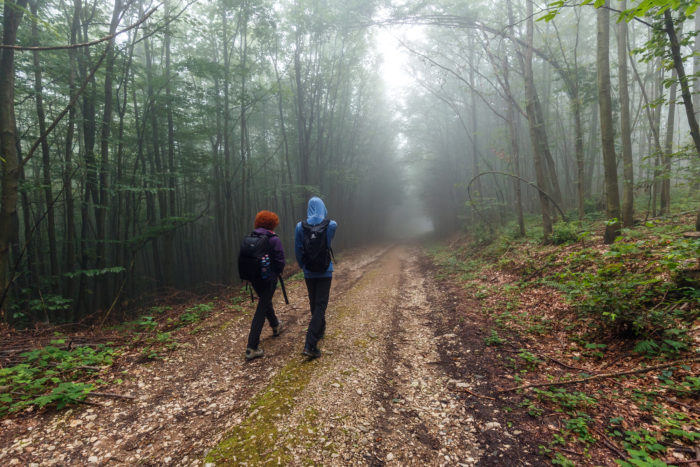 wilderness therapy