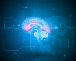 Dilantin medication impacts the cerebellum