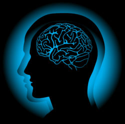 Zinbryta Withdrawal Related to Cases of Inflammatory Brain Disorders