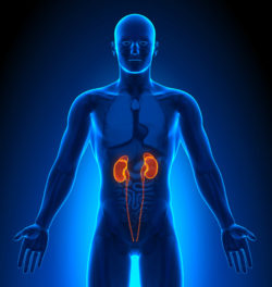 New Case Added Alleging Kidney Disease from Nexium to MDL