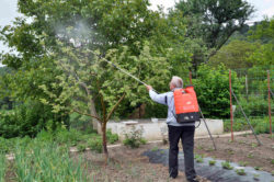 Monsanto Lawsuit Alleges Roundup Caused Cancer in Arizona Man