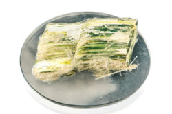 Deaths from Libby Asbestos Exposure Continue to Rise