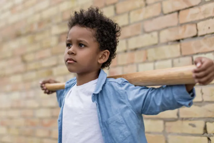 youth baseball bat Rawlings MLB