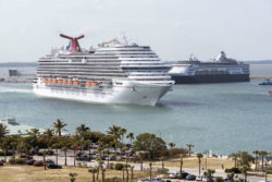 Disney Travel Insurance May Include a Kickback for the Company