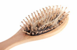 Taxotere chemotherapy can lead to alopecia