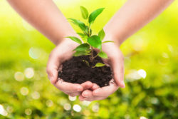 Monsanto Conceals Glyphosate Dangers, Consumer Lawsuit Claims