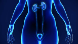 PPI and kidney disease have been linked