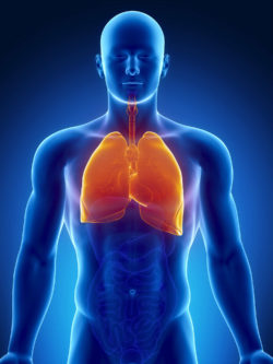 Patients Diagnosed with Mesothelioma Cancer Could Have Litigation Opportunities