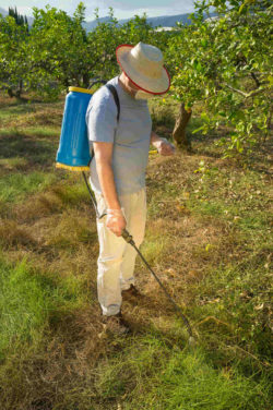 Glyphosate Exposure Lawsuit Says Roundup Exposure Caused Consumer’s Lymphoma