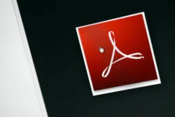 Adobe Class Action Lawsuit Alleges Permanently Deleted Files