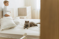 Mainstays 4 drawer dresser was recalled