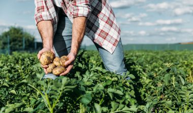 Monsanto Roundup Lawsuit Verdict Reduced but Not Tossed