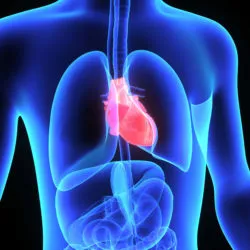 vena cava filter problems