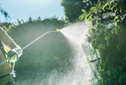 Roundup Ingredients Reportedly Linked to Cancer