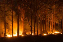 California Residents Still Struggling with Thomas Fire Damage