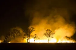 California Residents File Woolsey Fire Lawsuit Against Southern California Edison