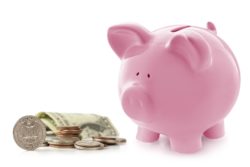 SEFCU overdraft protection may cost consumers