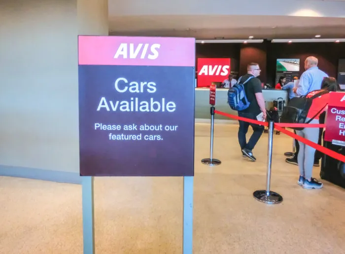 Avis rental cars