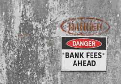 Overdraft Fees Allegedly Unfair, Excessive with SEFCU Checking Account