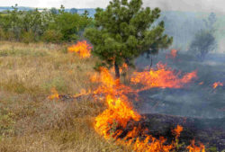 Recent California Wildfire Property Damage Reaches $9 Billion