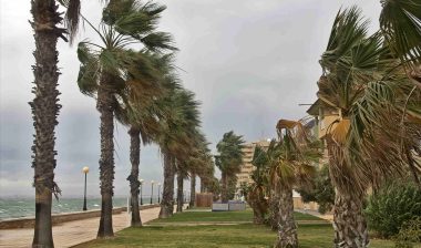 hurricane-claims