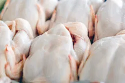 Jennie O Recall Expanded to Include 164,000 More Pounds of Ground Turkey