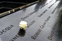 White rose on 9/11 memorial