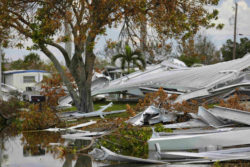 damage from a hurricane, water and trees