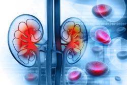 nexium kidney damage link