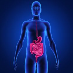 Viberzi Pancreatitis
