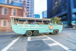 A duck boat drives through a city.