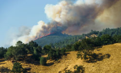 A fire burns on the side of a hill.