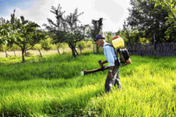 Man spraying weed killer