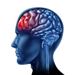 Image of glowing brain