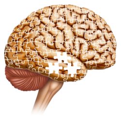 atrophy of the brain