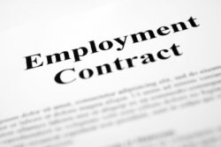 Close up of employment contract