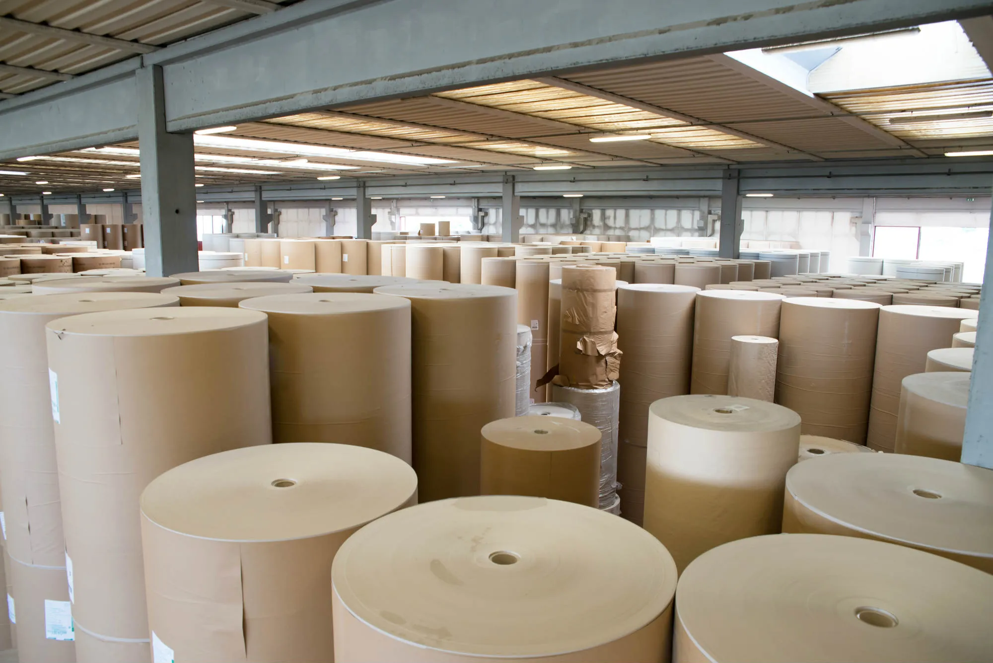Industrial paper mill