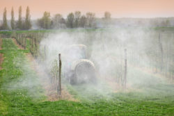 Tractor sprays orchard
